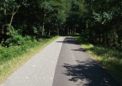 Radwanderweg R1 bei Bergwitz
