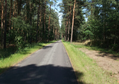 Radwanderweg R1 bei Bergwitz